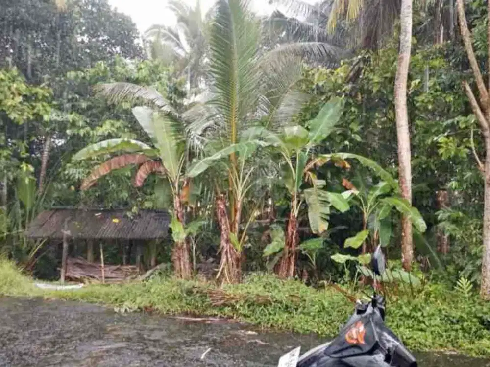 jual tanah penebel 5are global 165jt free biaya notaris dan balik nama