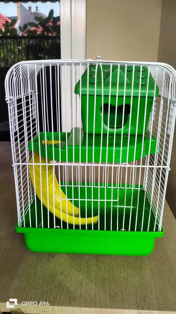 Kandang Hamster Warna Hijau
