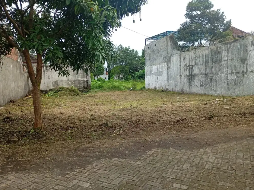 Tanah Kavling Teluk Etna Arjosari Dekat Plaza Araya Harga di Bawah NJOP