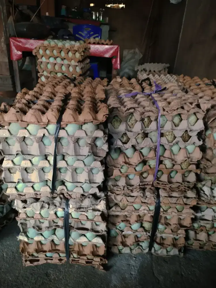 Telur asin dan tawar