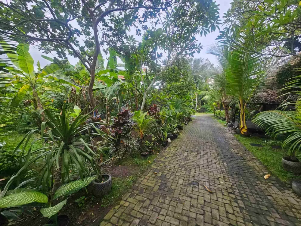 dijual tanah komersil lokasi padonan