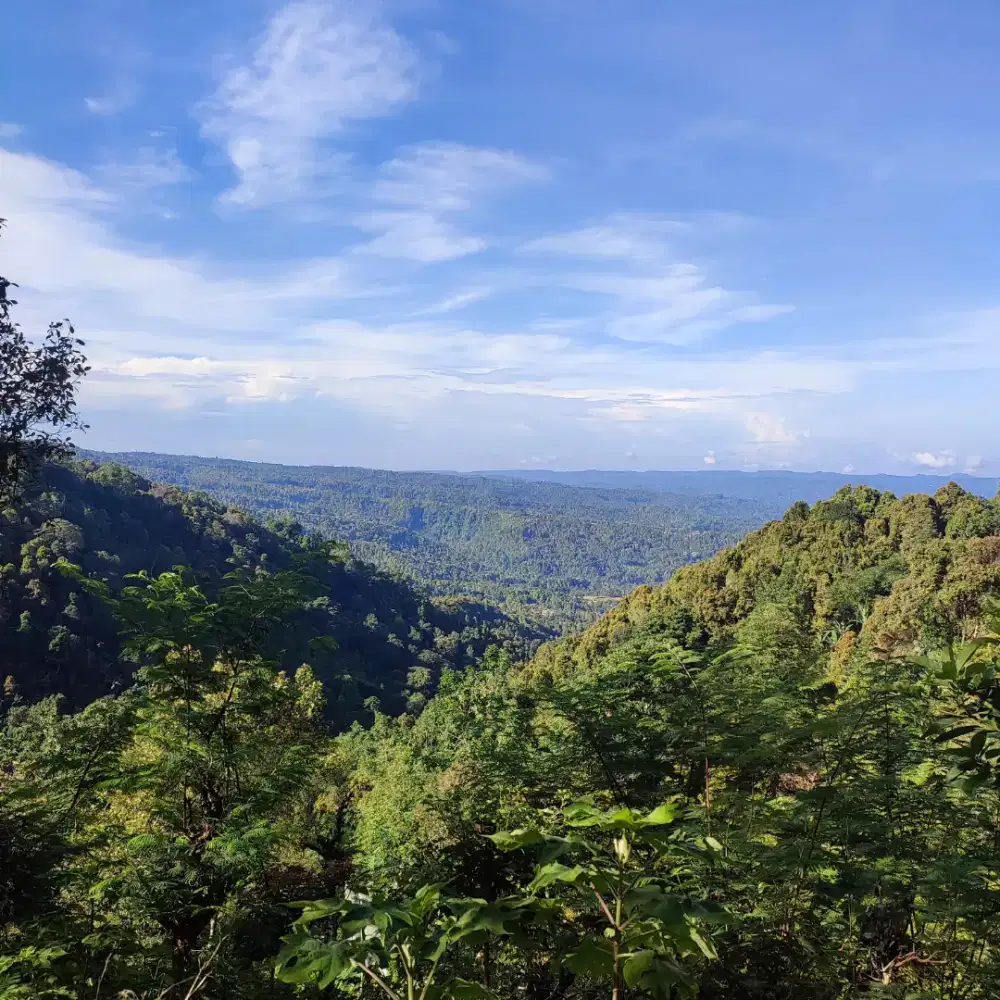 Dijual Tanah View Bagus di Munduk Cocok untuk Villa  / Investasi