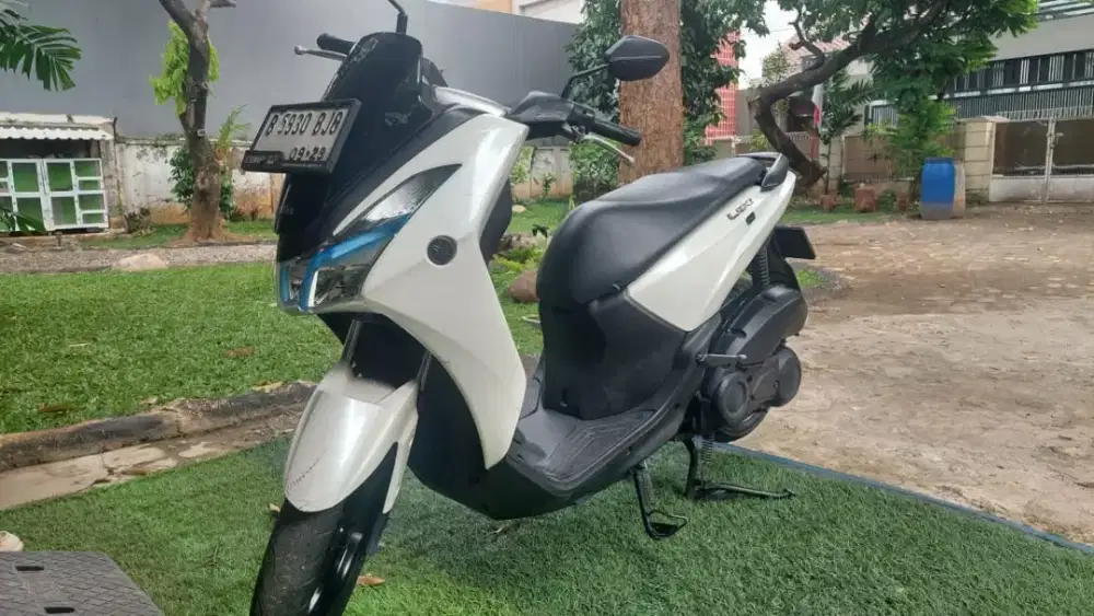 Lexi 2019, pemakaian individu, mulus