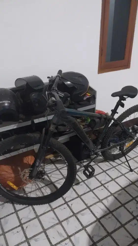 Sepeda Gunung Alton beast