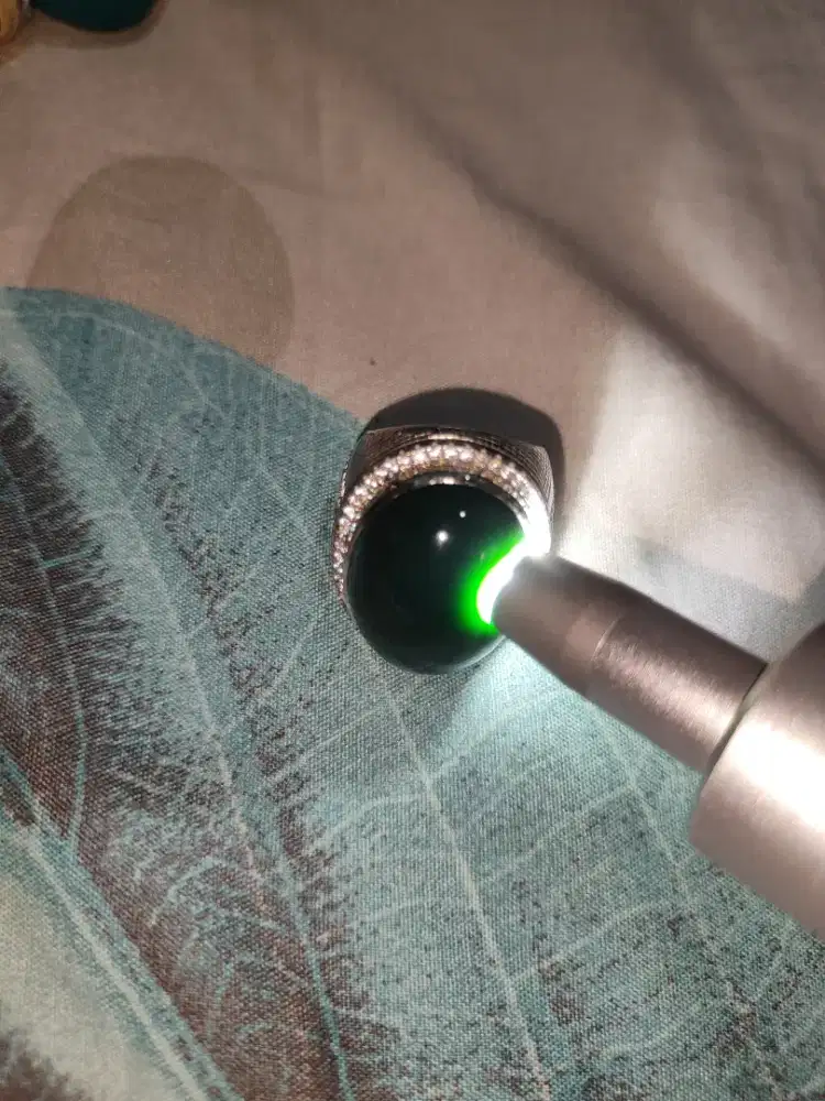 Natural Bacan Coklat,Bacan Doko hijau