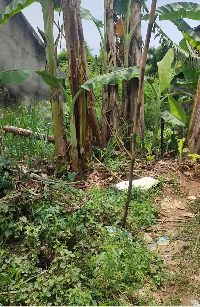 Dijual Tanah (Sdh tidak ada bangunan)