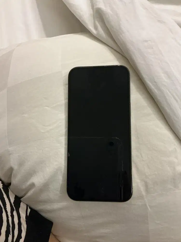 iphone 16promax RESMI