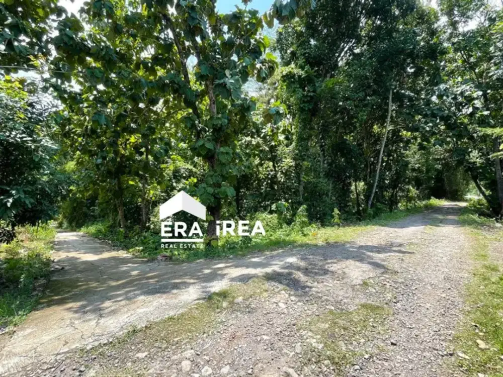 Tanah dijual murah Sambi Boyolali cocok untuk perumahan