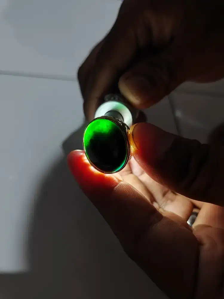 Bacan coklat hijau gulau