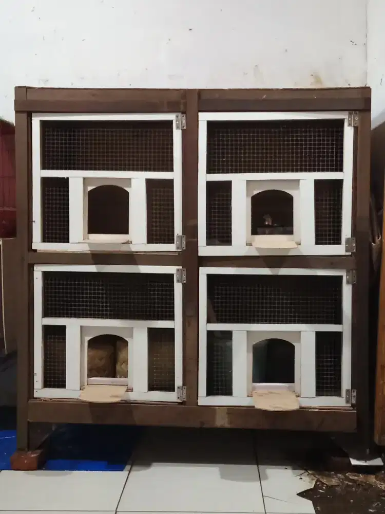 Kandang merpati kesayangan anda