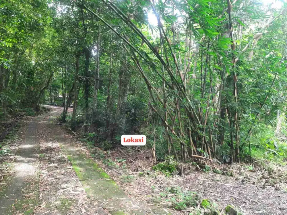 JUAL TANAH DI SRIKAYANGAN SENTOLO KULONPROGO