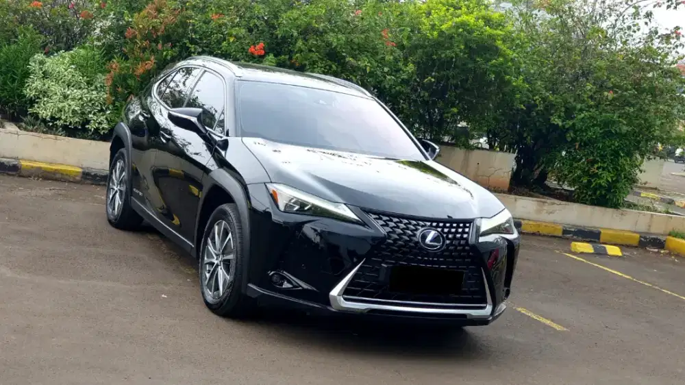 [ LOW KM ] Lexus UX300 UX 300 Electric AT 2022/2023