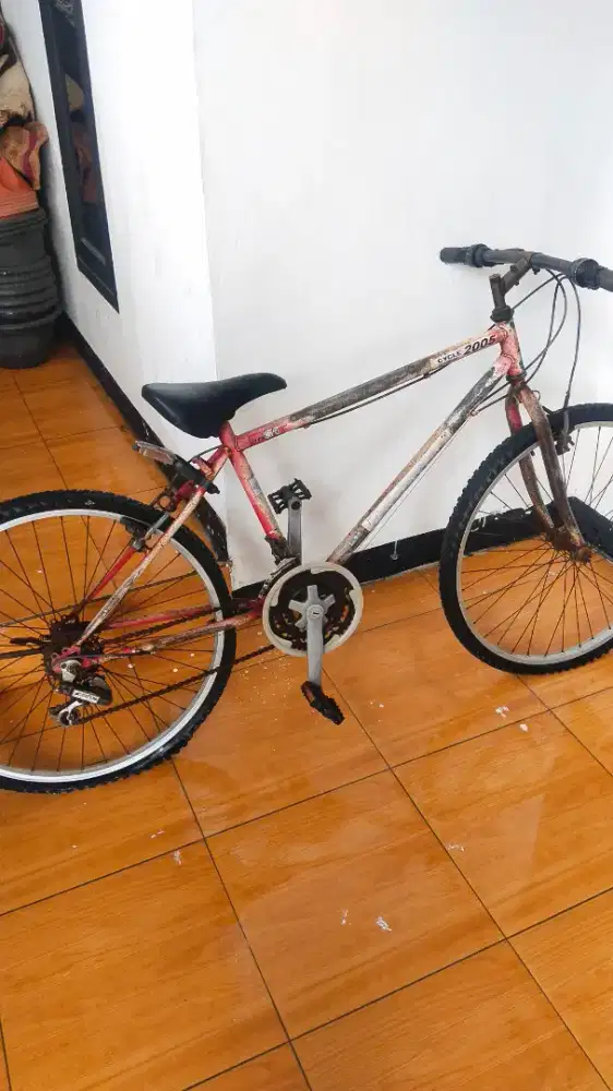 Federal city cat irigional sn tembus