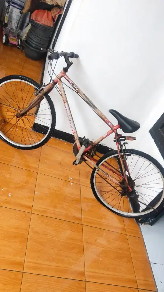 Federal city cat origional sn tembus