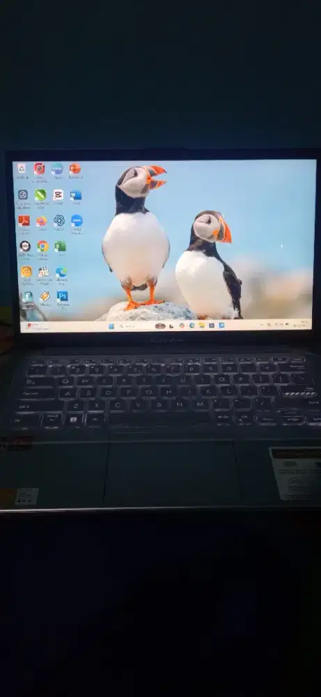 ASUS Vivobook Go 14, AMD Ryzen 5 7520U 7000 SERIES.