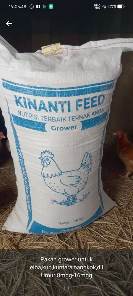 Pakan Ternak Unggas (Ayam,Bebek,Dll)