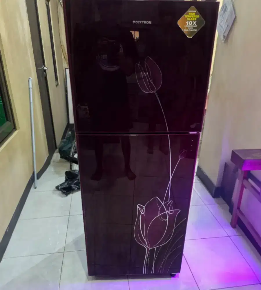 kulkas 2 pintu polytron