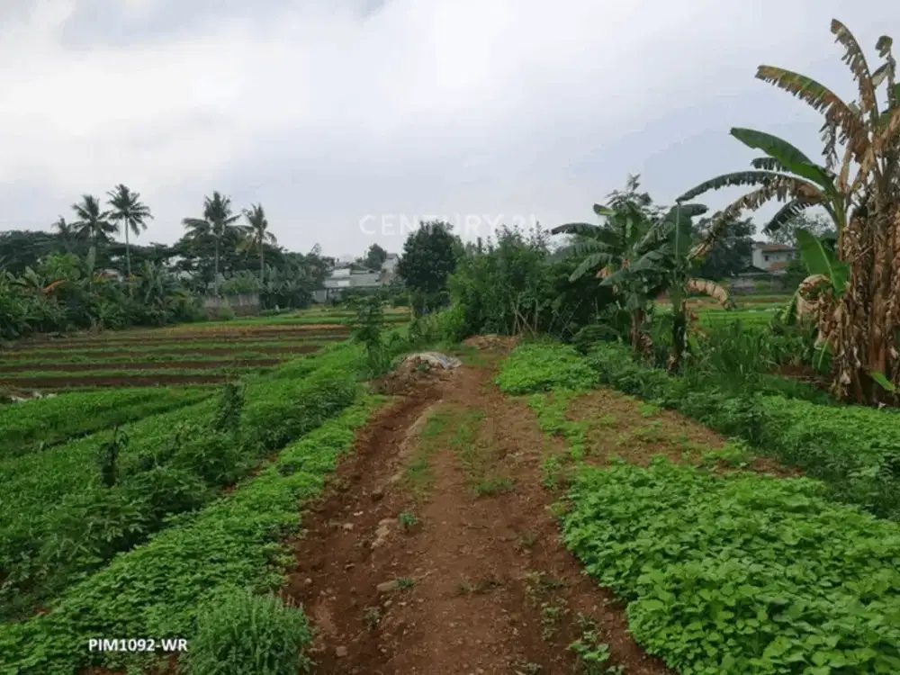 Dijual Tanah Lokasi Strategis Harga Menarik Di Bintaro