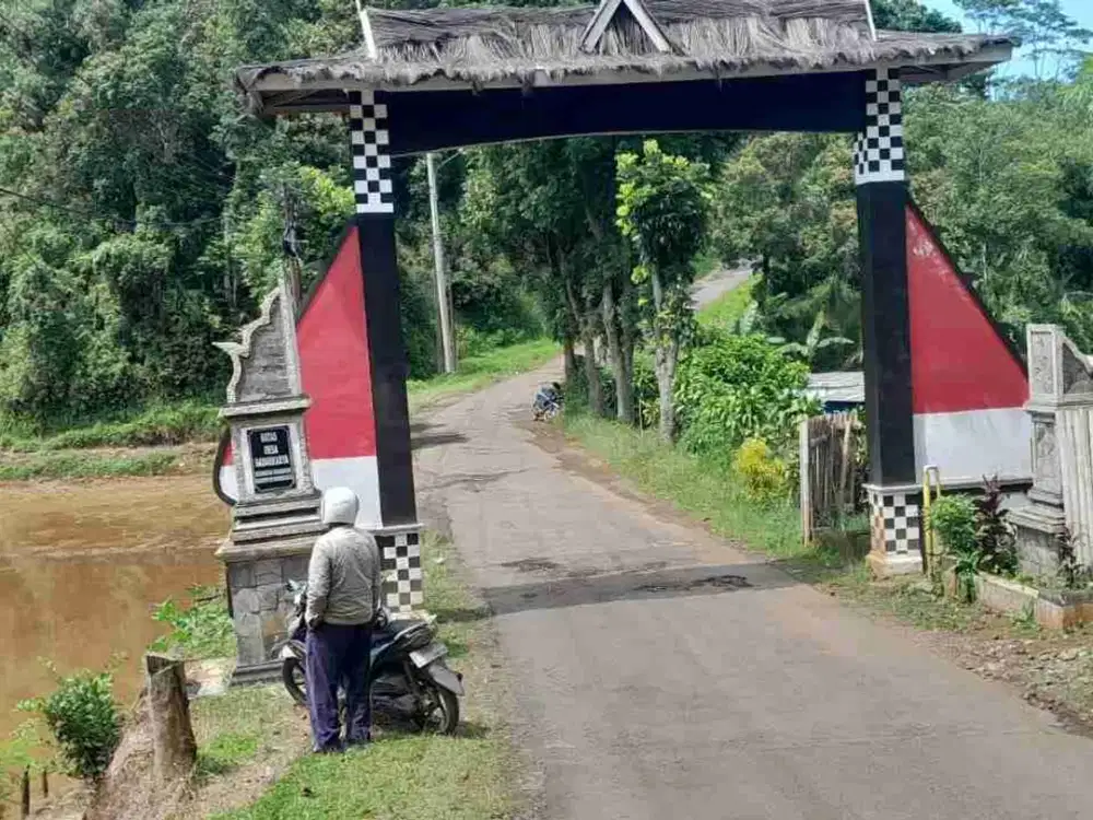 dijual lahan kebun pinggir jalan