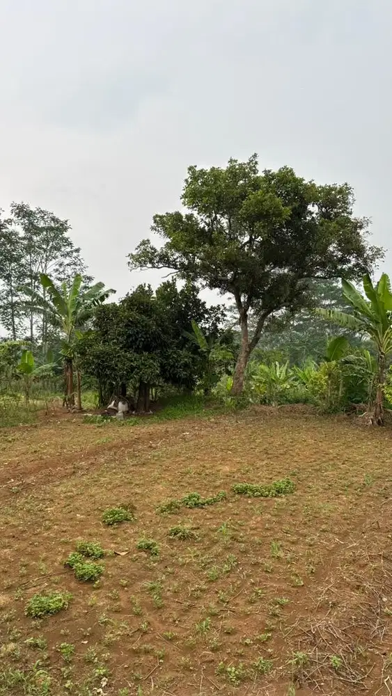 Dijual tanah murah dengan lokasi strategis