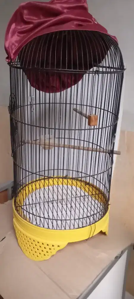 Kandang burung besi 2 kayu 1