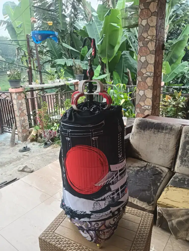 lovebird blue ice siap gantang