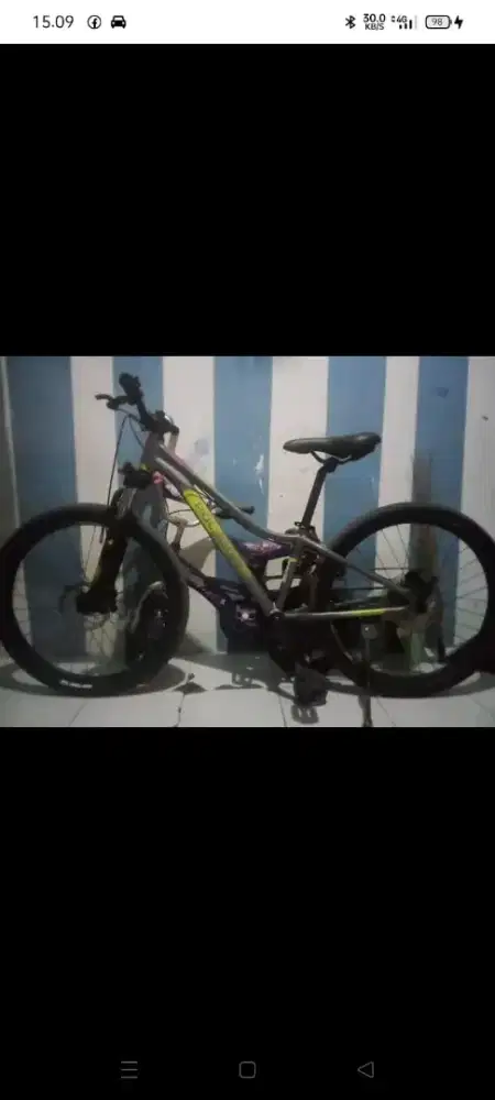 Sepeda Polygon Relic24