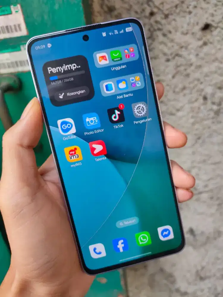 Bisa TT Reno 13F 4G 8/256gb Muluss