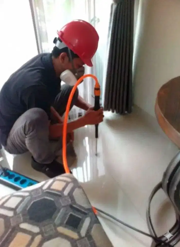 Jasa Anti Rayap Bergaransi