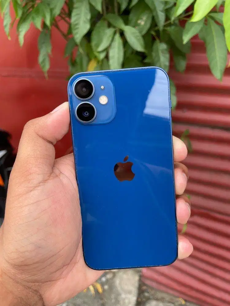 iphone 12 mini 128gb inter nepis