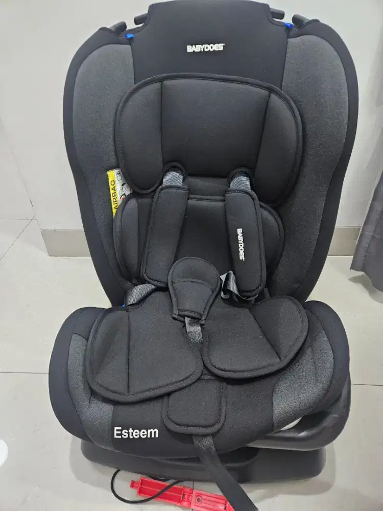 Carseat babydoes