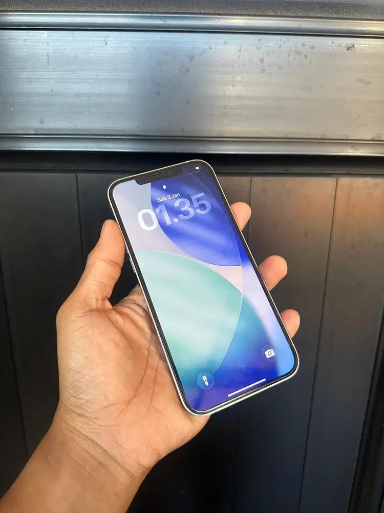 Iphone 12 pro max 128gb silver ibox