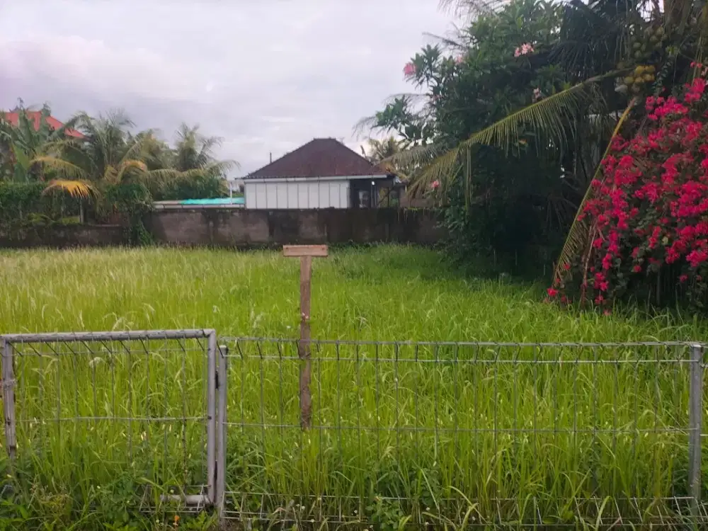 DIJUAL TANAH VIEW SAWAH LOKASI AREA LODTUNDUH UBUD