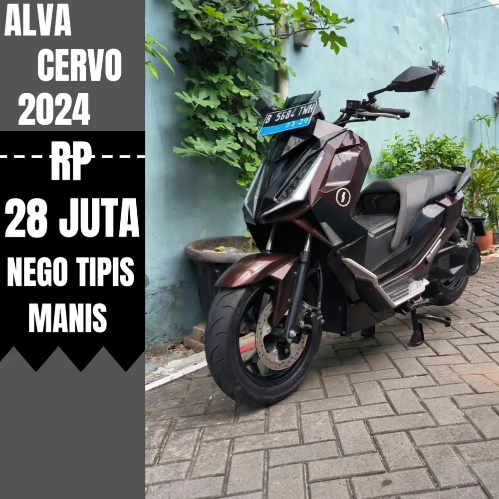 ALVA CERVO THN 2024 SECOND LIKE NEW