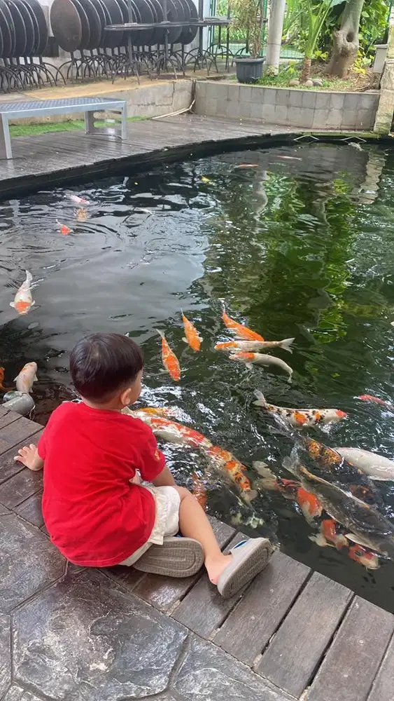 Dicari Pengasuh Anak dan Art