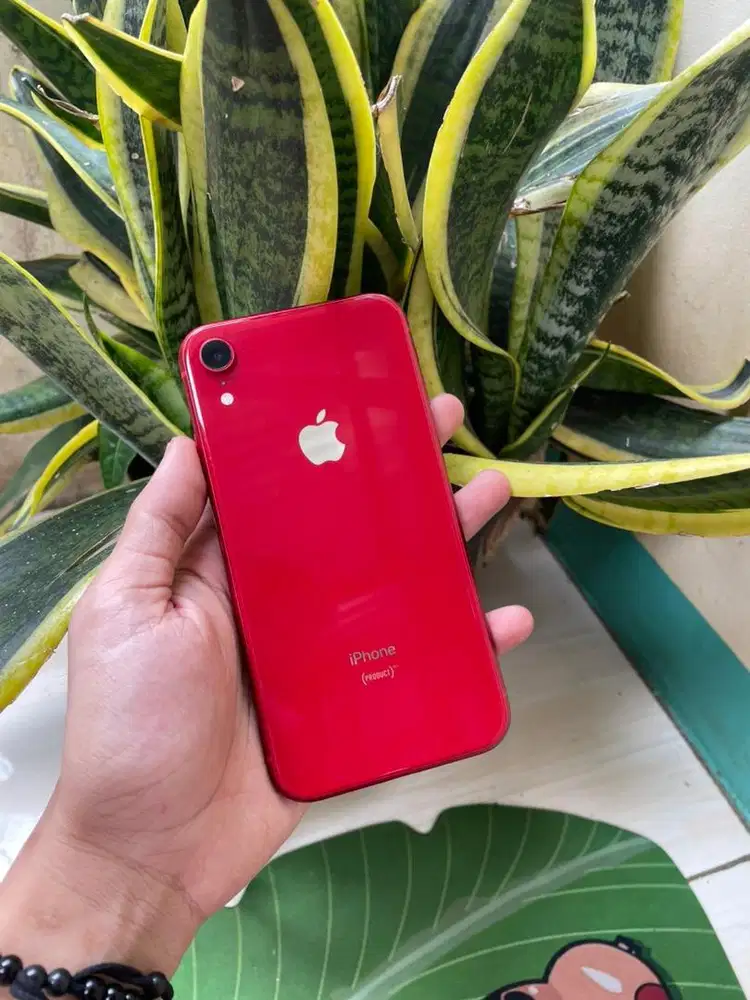 IPHONE XR 128GB REGIST