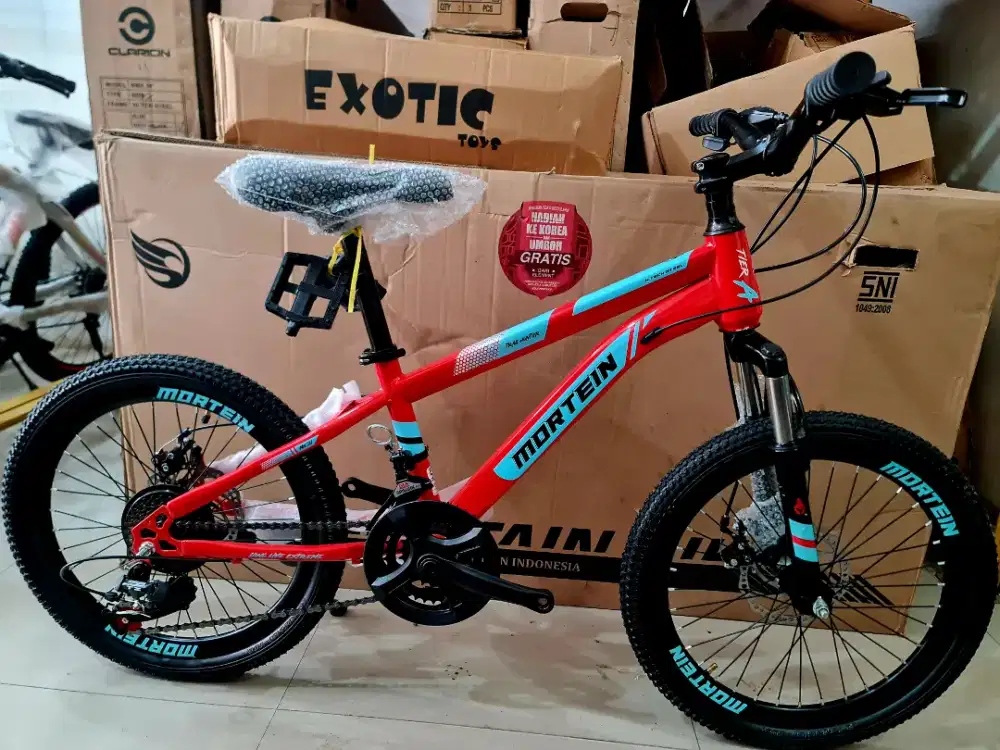 SEPEDA MTB 20 INCH PMB MORTEIN