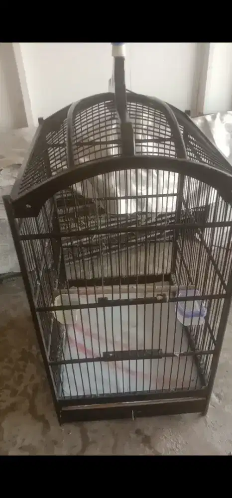 Jual kandang petak masih baru