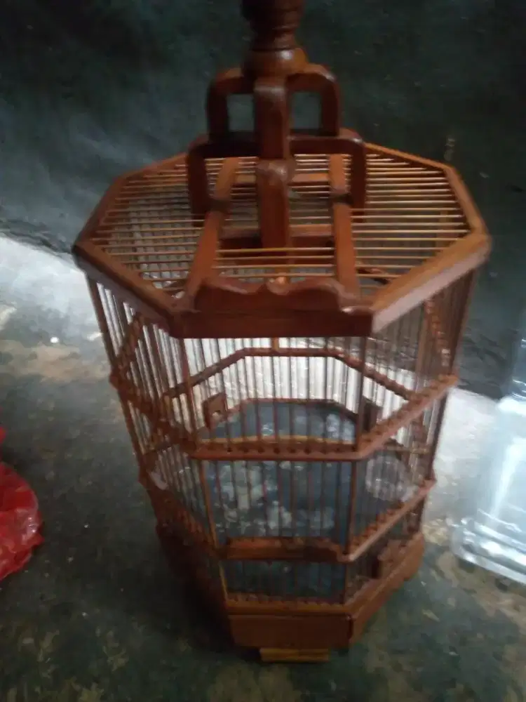 kandang burung jati segi 8 ukuran burung kecil