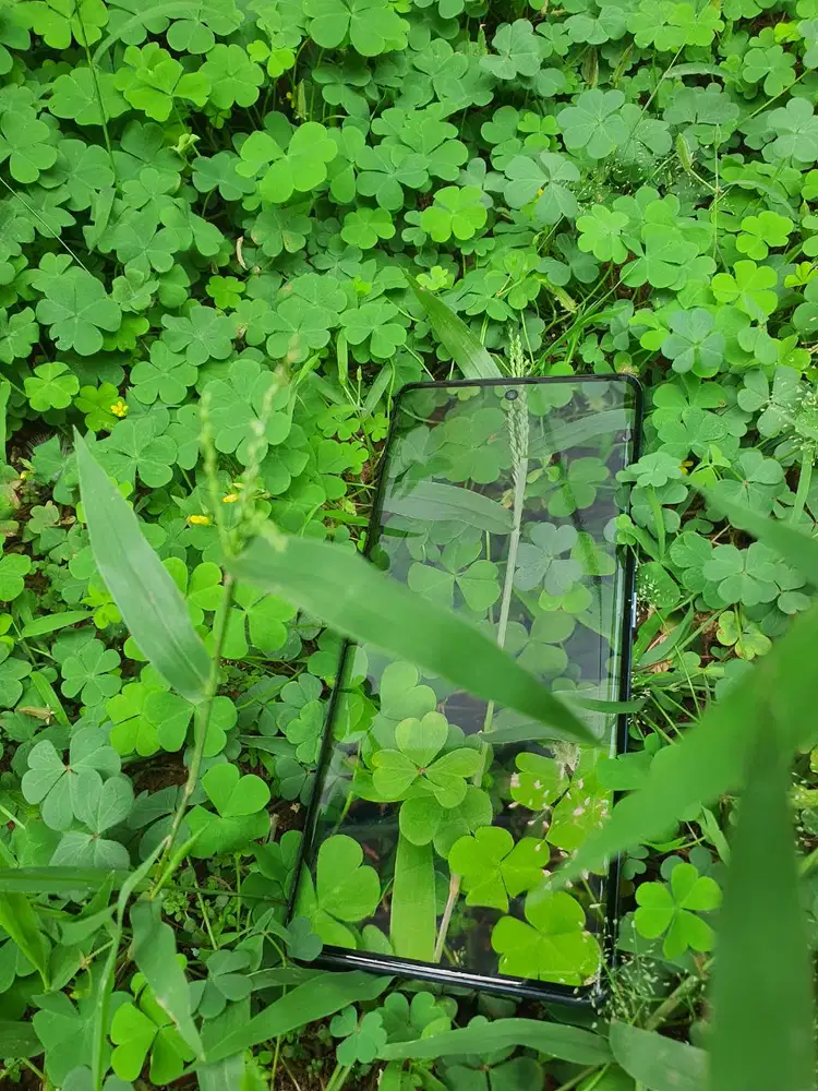 Itel S23+ 256GB+16G - AMOLED CURVED - 32MP AI SELFIE - NFC - L MULUS