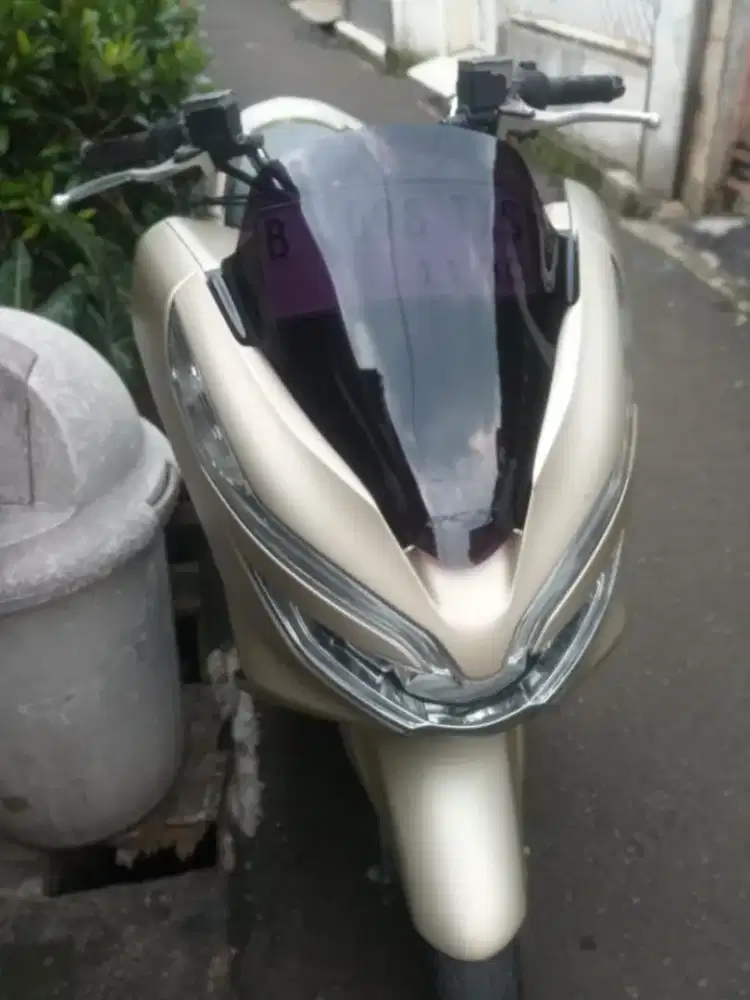 Honda PCX pajak hidup panjang November