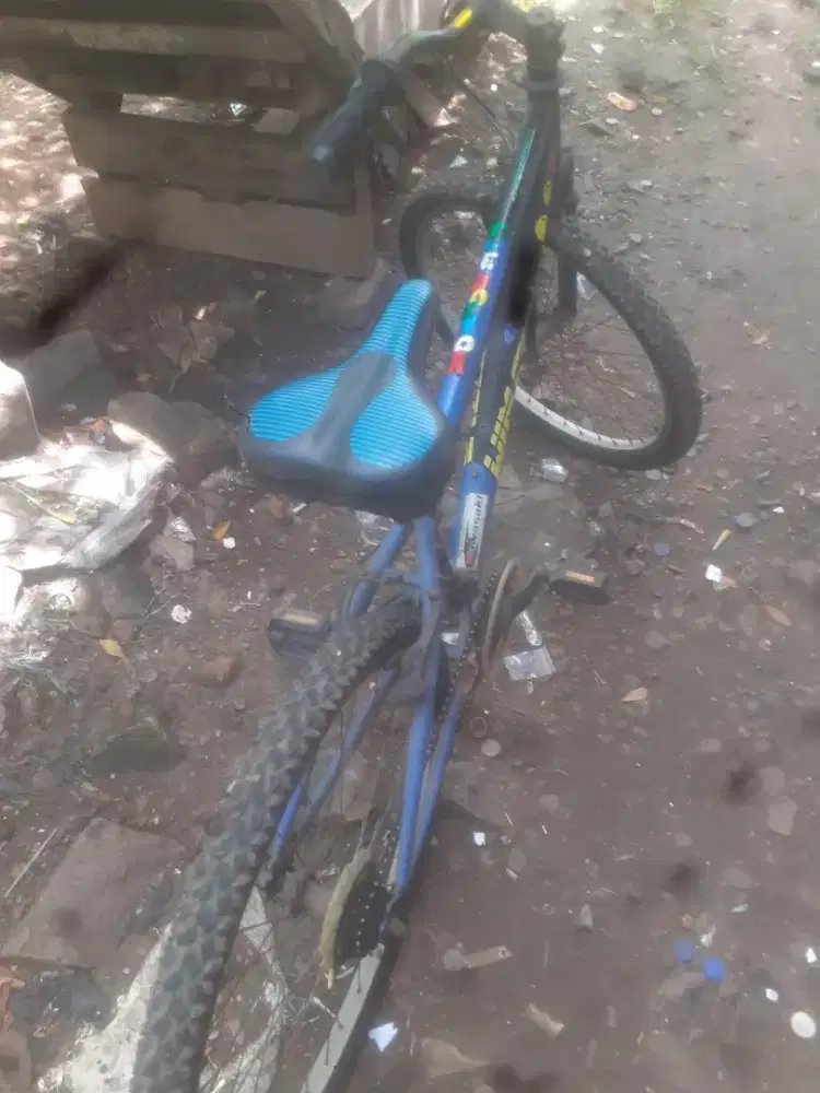 Dijual sepeda wiwcycle