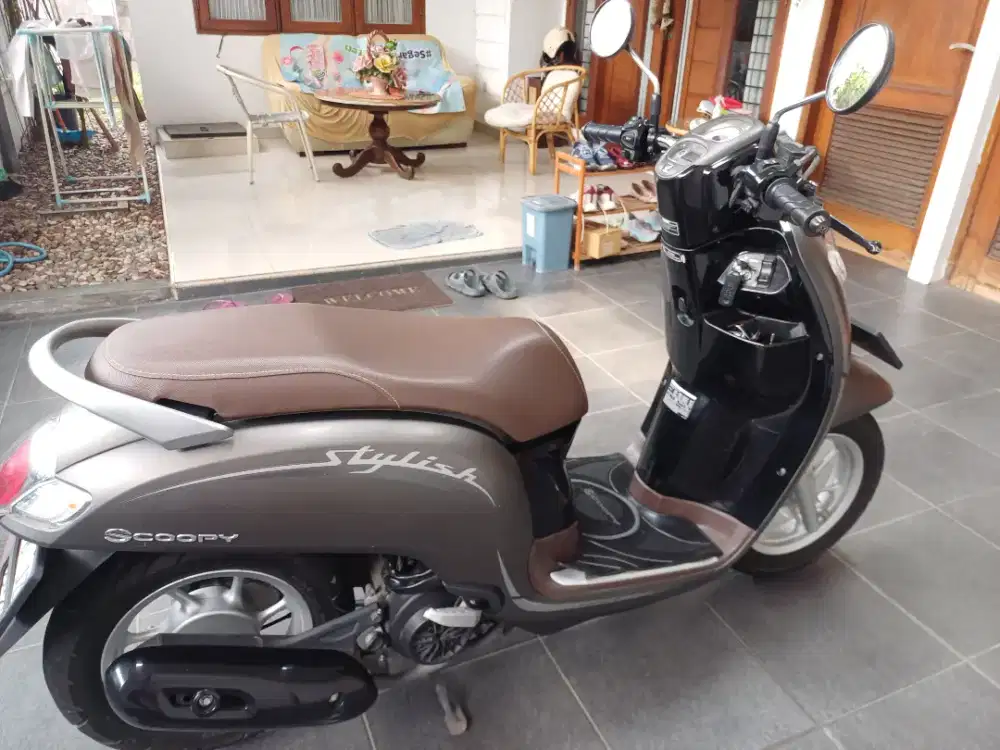 Scoopy stylish 2019 tgn I