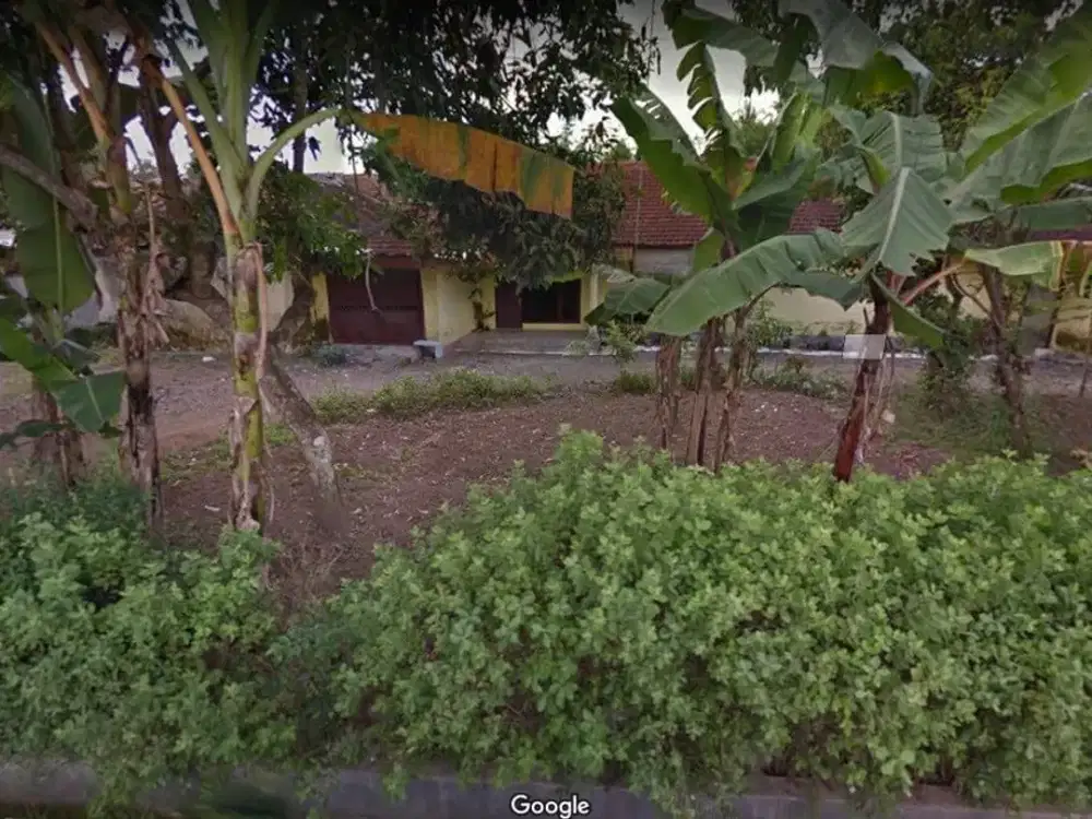 TANAH + RUMAH DIJUAL – Jalan Raya Benculuk, Cluring – Banyuwangi