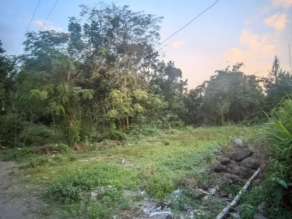 Peluang Emas! Dua Pilihan Lahan Strategis di Perumahan Sukoharjo Indah”