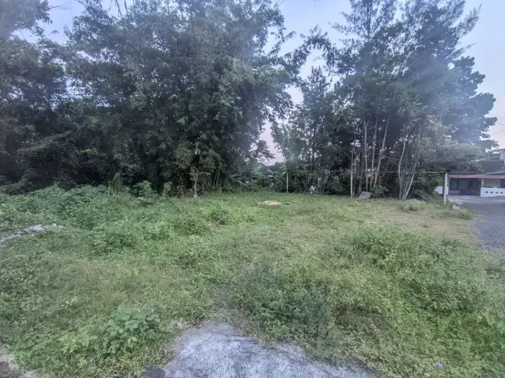 Tanah Pekarangan Proporsional di Lokasi Nyaman & Akses Mudah