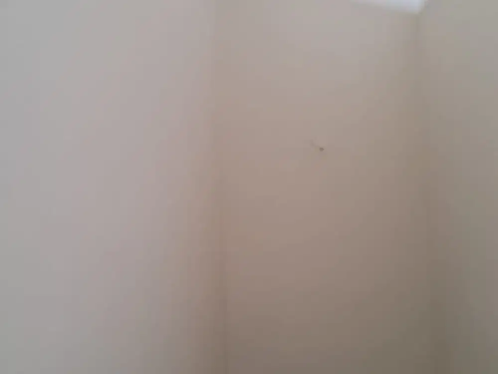 Dijual Cepat Rumah di Nusa Loka BSD CITY