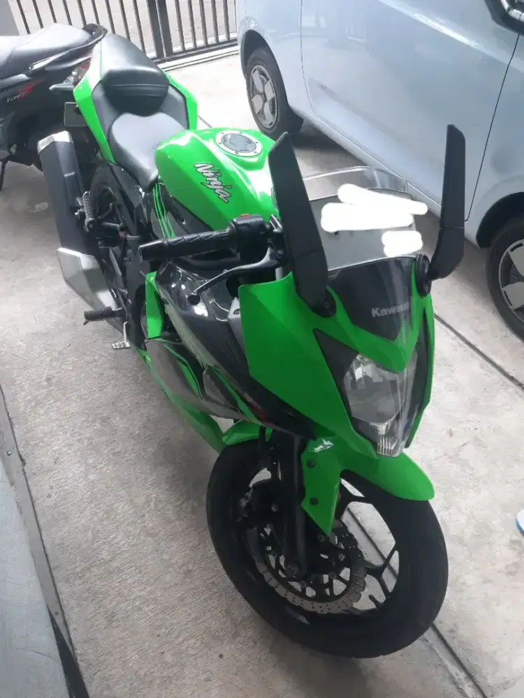 Ninja 250 Mono SL 2017