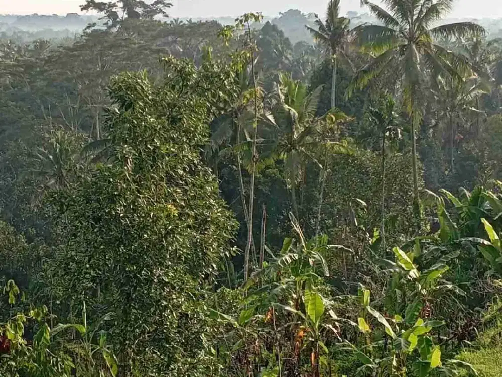 land with amazing view, free hold in yellow zone