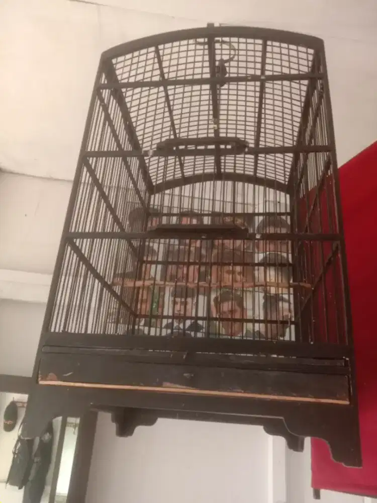 Jual kandang petak masih bagus